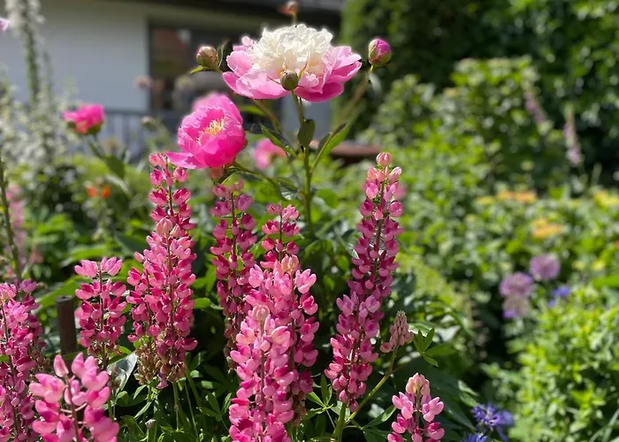 Haus Thomsen Erdgeschoss Appartement